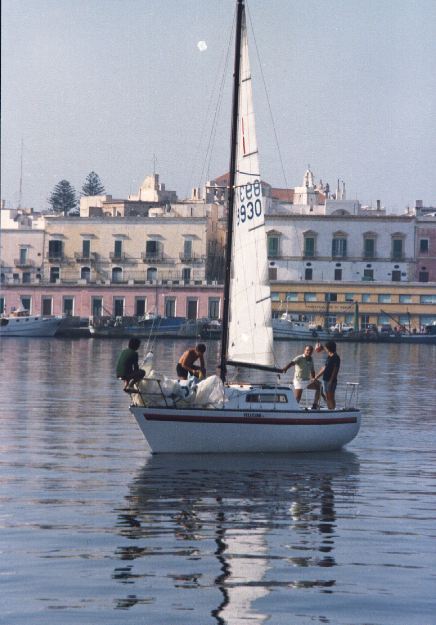Pellicano 93.jpg