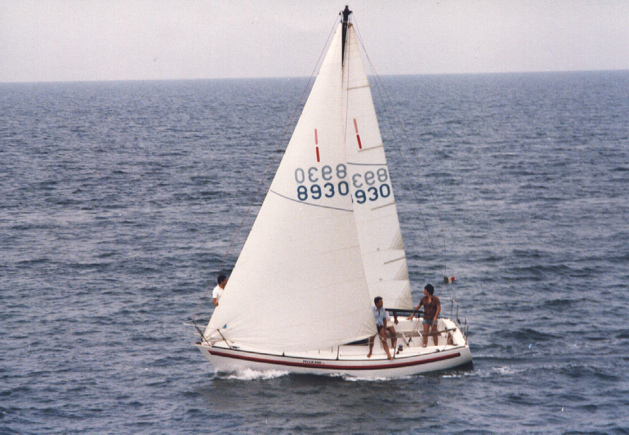 Pellicano 88.jpg