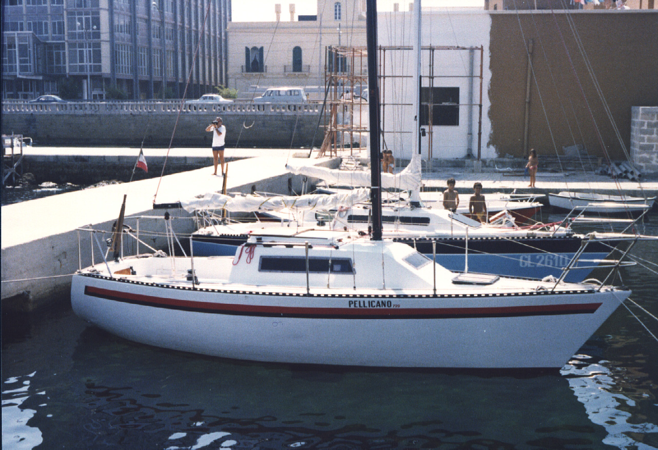 Pellicano 84.jpg